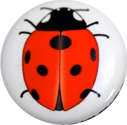 Ladybug button