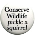 conserve wildlife pickle a squirrel